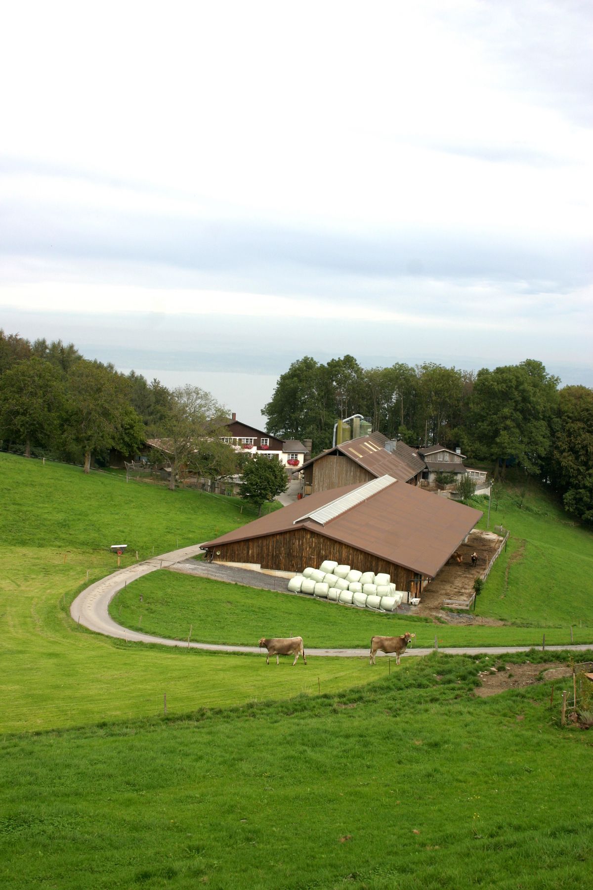 Hofübergabe – Hofaufgabe